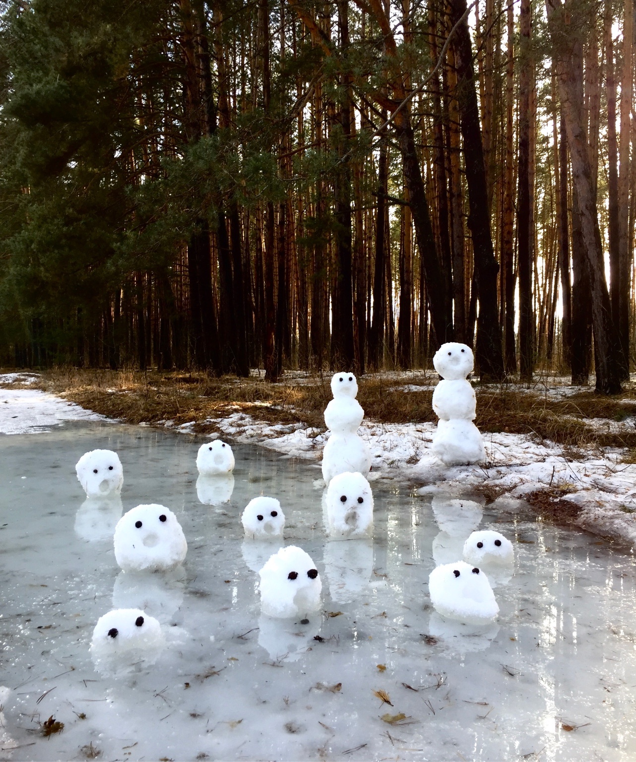 Small snow figures in a flooded forest